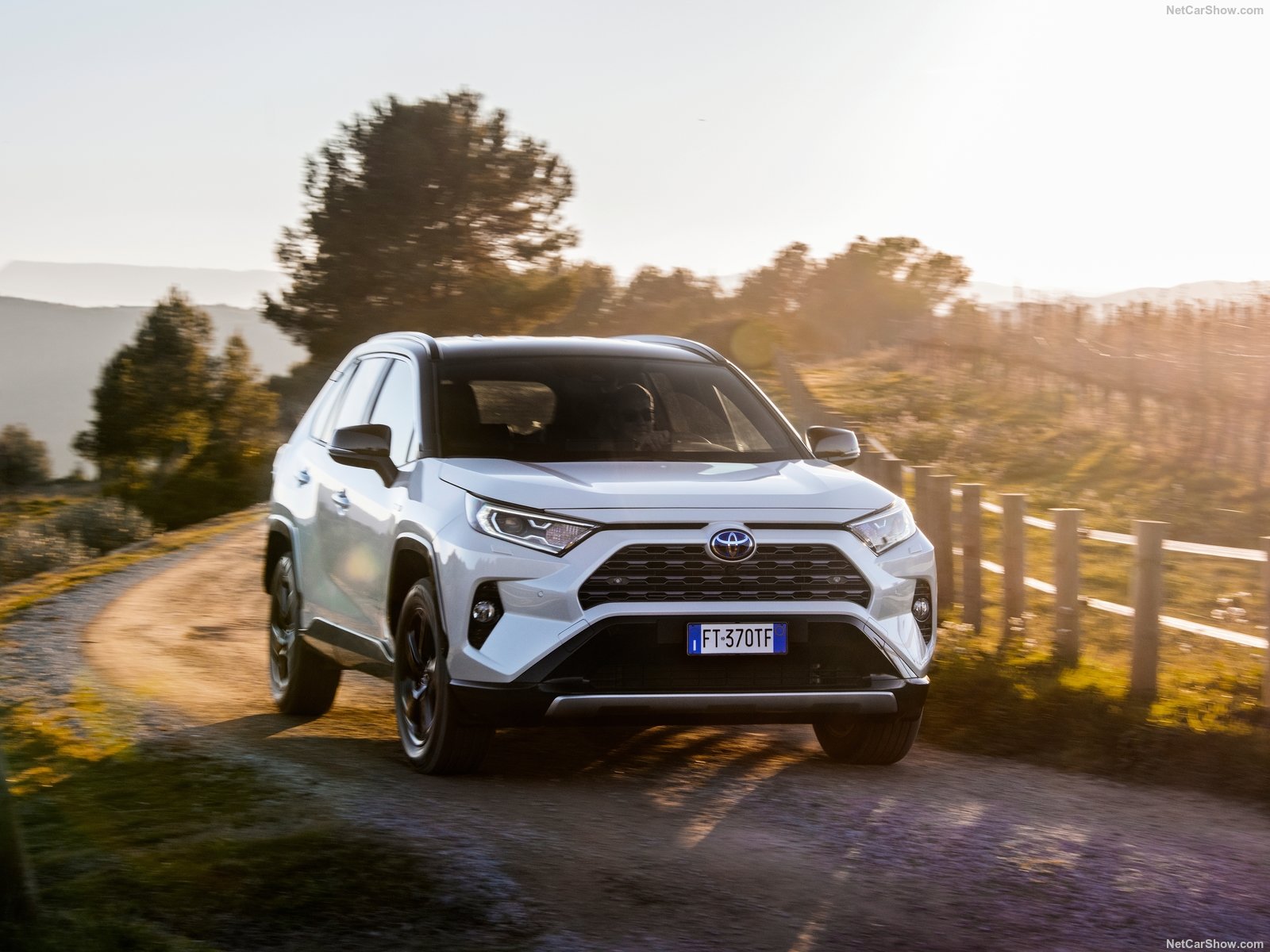 Toyota-RAV4_Hybrid_EU-Version-2019-1600-18